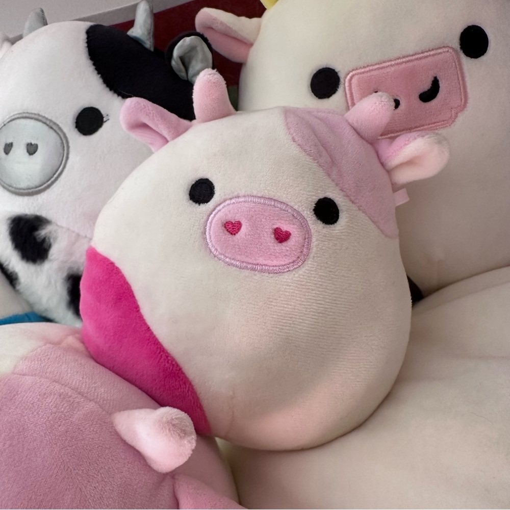 Squishmallows Cow Caedyn 5” HTF